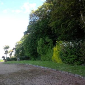 spp6