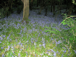 IMG_0578 (2)